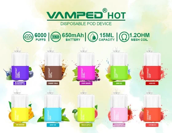 Factory Wholesale/Supplier Cheap Vamped Hot 6000 Puffs 15ml 5% Nicotine Rechargeable Disposable/Chargeable Vapes E Cigarette