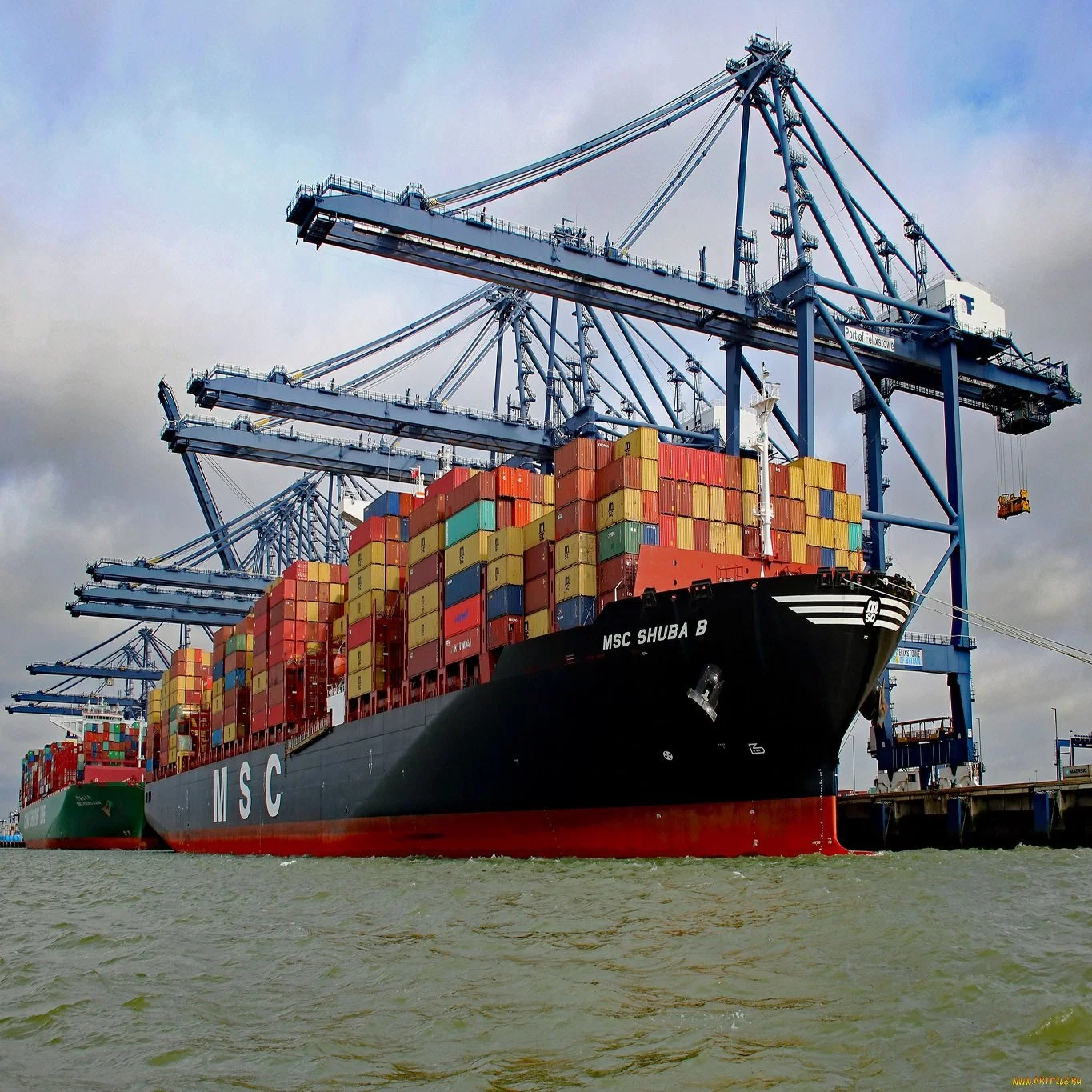 Professional Sea Ocean Agent with Wholesale/Supplier Sea Freight From China to Rotterdam Netherlands