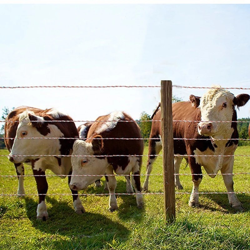 Electric Fence Energizer Can Use DC12V Solar Powered Cattle, Horse, Sheep and Pig Electric Fence