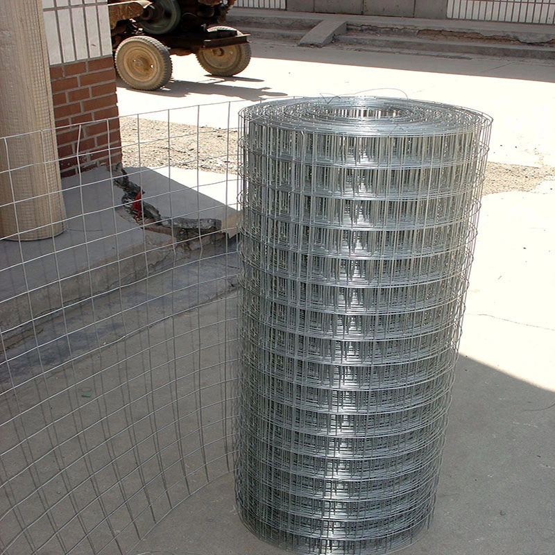 Hot Dipped Electro Galvanized Welded Poultry Wire Mesh Net