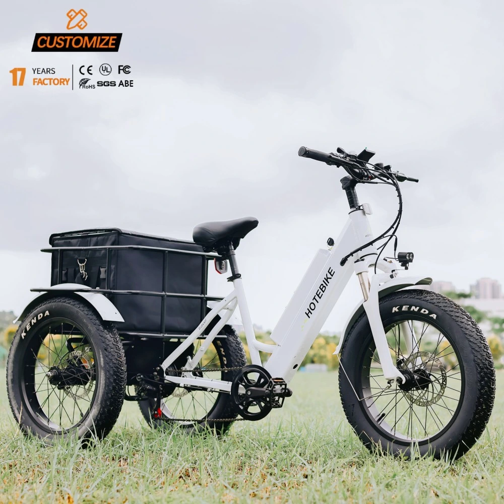 48V 500W 750W 3 rueda cargo eBike neumático de grasa trasero Motor de cubo de rueda Tricycle eléctrico