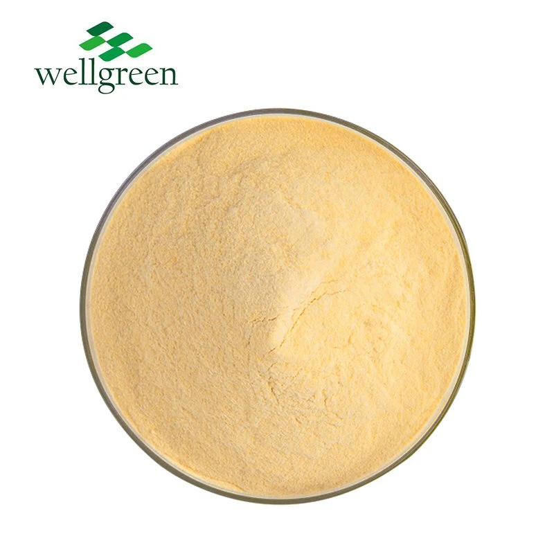 China Fruit Vegetable Powder Factory Supply Water Soluble Juice Green Melon Cantaloupe Powder