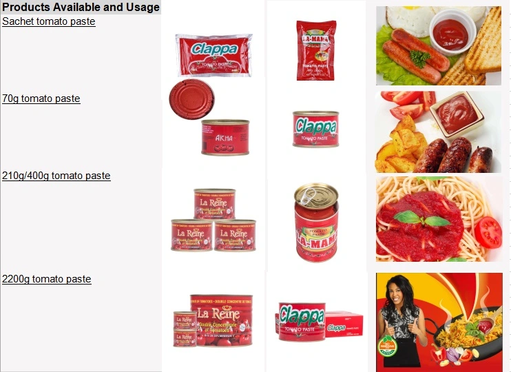 400g, and 850g Tomato Paste with Top Quality for Surinam