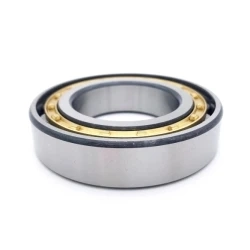 Cylindrical Roller Bearing Single Row 300*460*74mm Nu1060