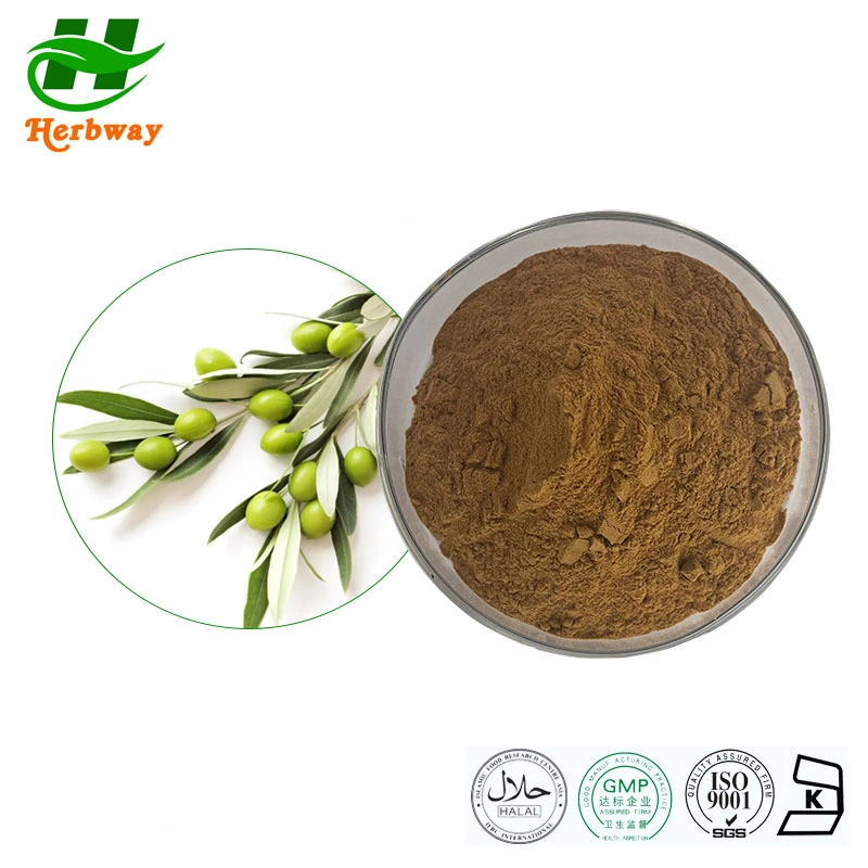 Herbway China Supplier High quality/High cost performance  Competitive Pirce 20% Hydroxytyrosol Olea Europea L Olive Leaf Extract Natural Supplements