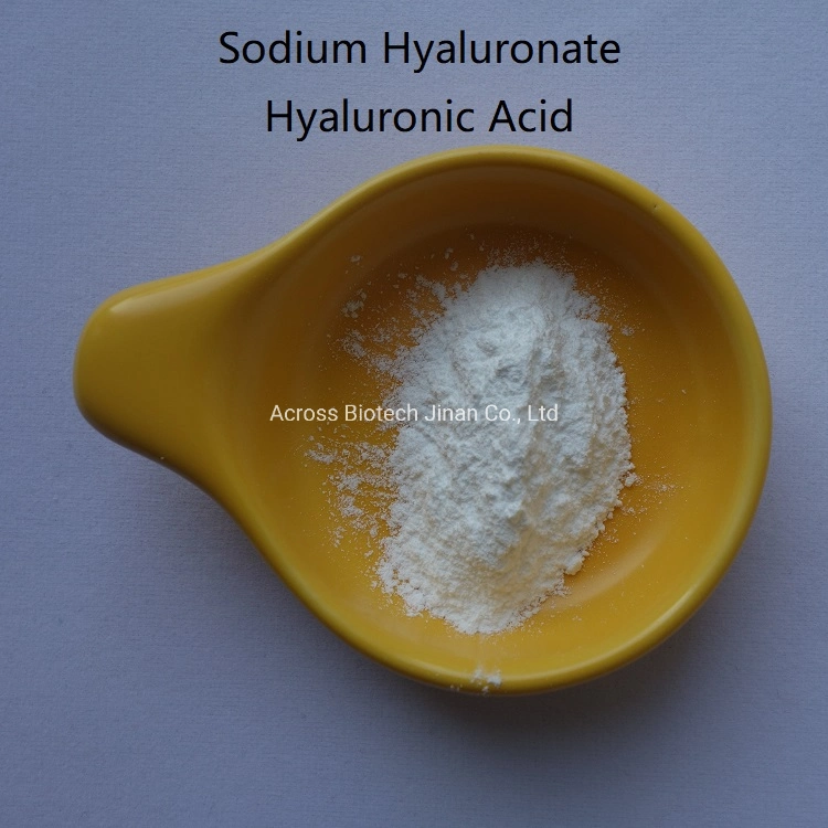 Sodium Hyaluronate Raw Powder Used in Food/Cosmetics/Medical Products