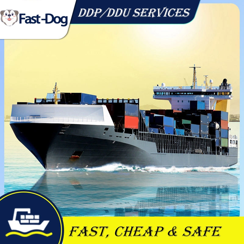 DDP Agente de envío FBA Freight Forwender China a Australia/ Dubai/EAU