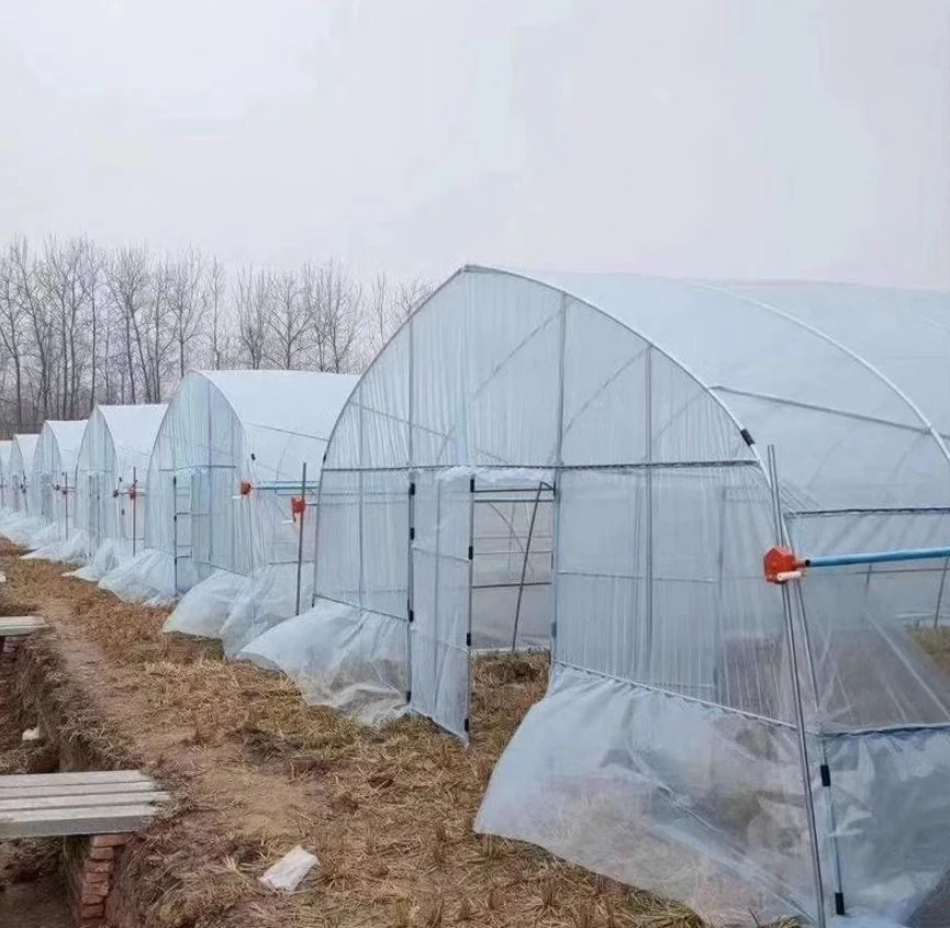 Prefabricated Frame No Welding Prefabricated Greenhouse for Rose Planting