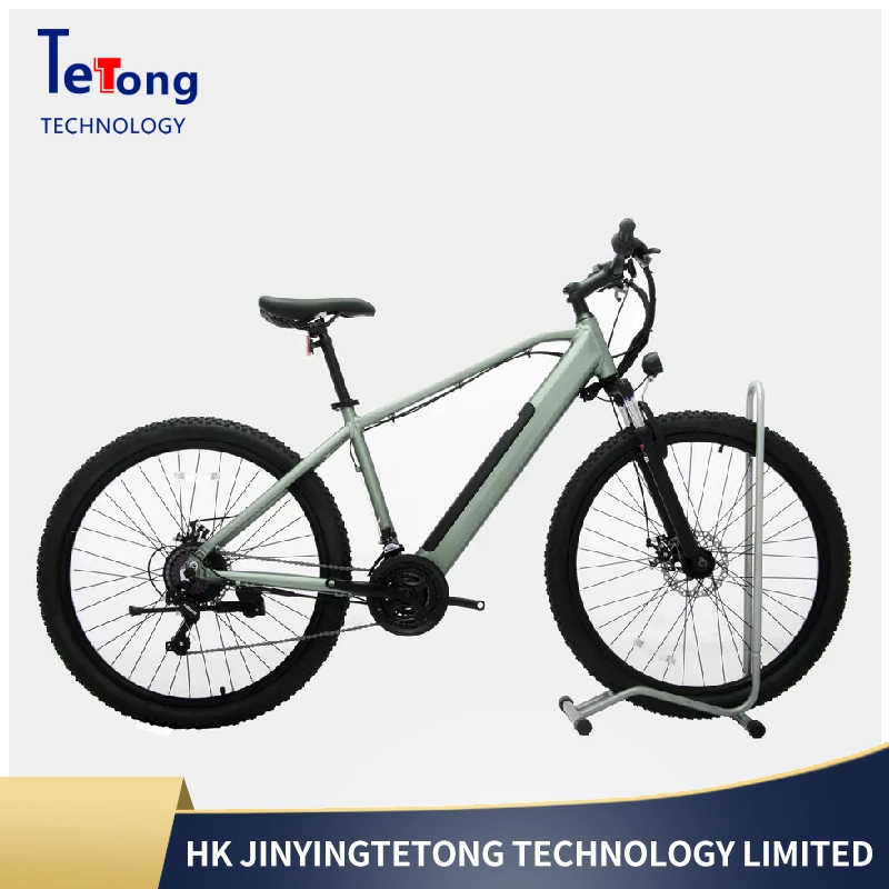 Original Factory Direct Wholesale/Supplier Hidden Motor Drive Electric Road Bike