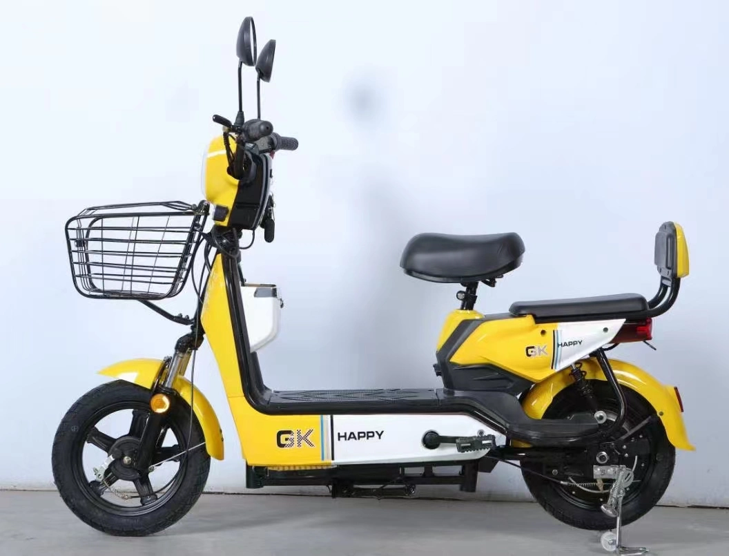 Powerful Adult EEC Scooter Electric Motorcycle with Removable Lithium Battery
