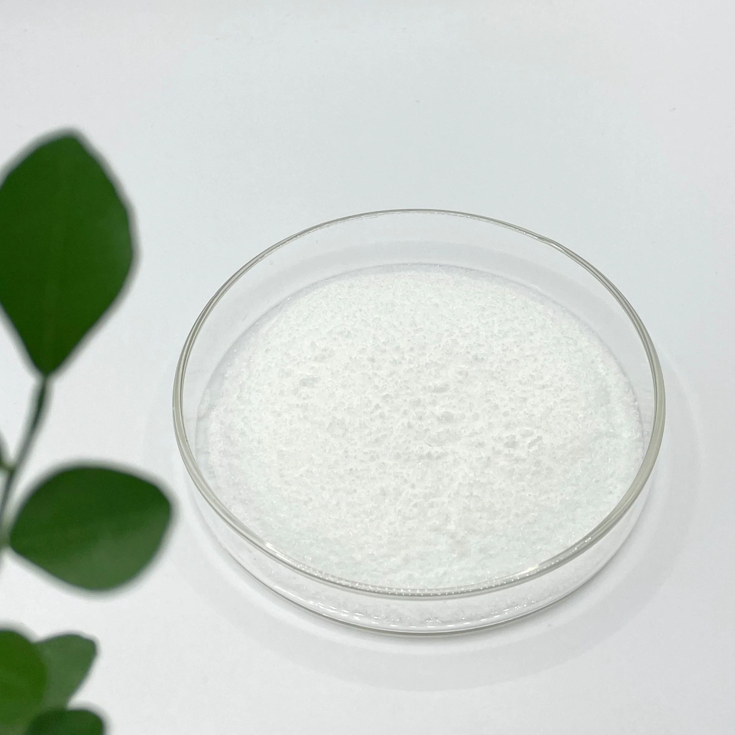 High Purity Health Food Ascorbic Acid Sodium Ascorbate