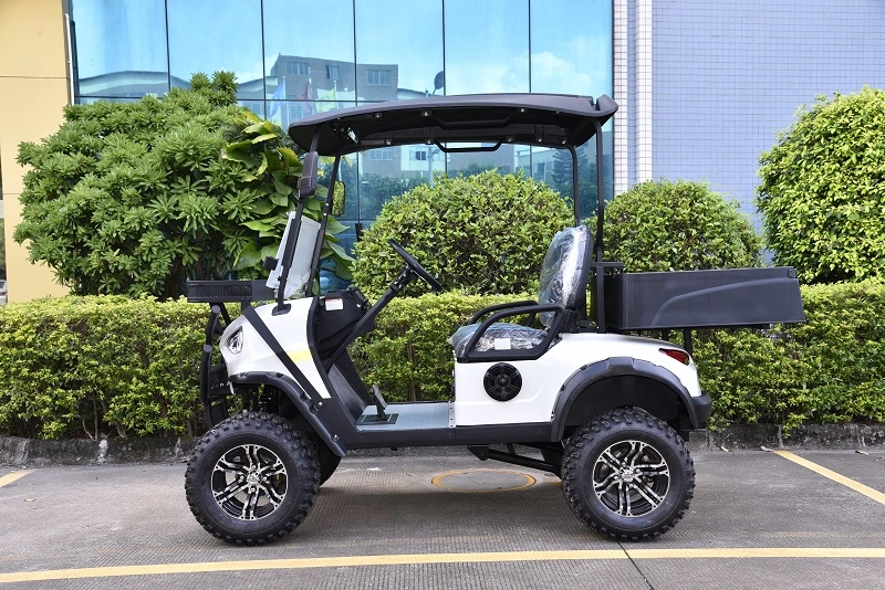 Golf Course Cart 2 Seater Electric Utility Cart Cargo Vehicle Golf Car