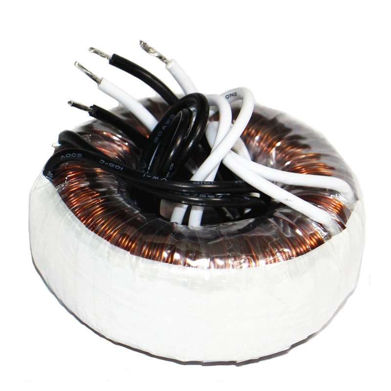 20va/12~24V Voltage Toroidal Power Transformer with Factory Prices