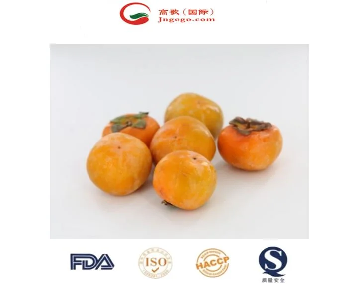 High quality/High cost performance Fresh Crispy Persimmon Professional Supplier From China