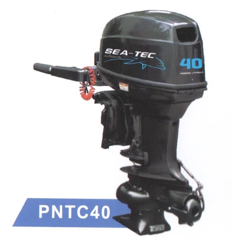 Made in China Pntc40 Outboard Motor and Hot Sale