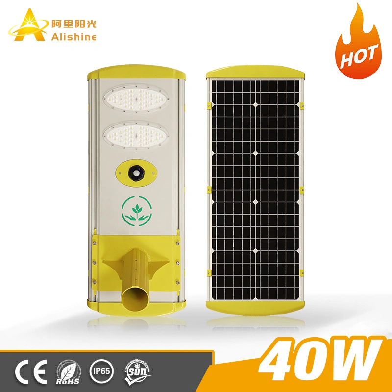 Private Module 40W All in One LED Solar Street Light