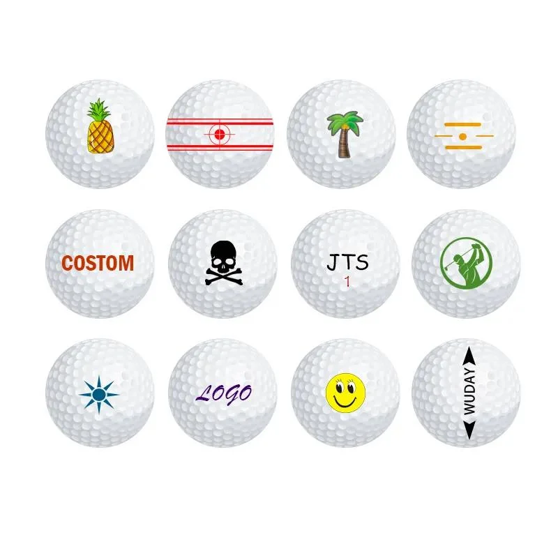 Gift Pack Logo Printing 2 and 3 Layer Surlyn Golf Ball Long Distance Golf Ball ODM