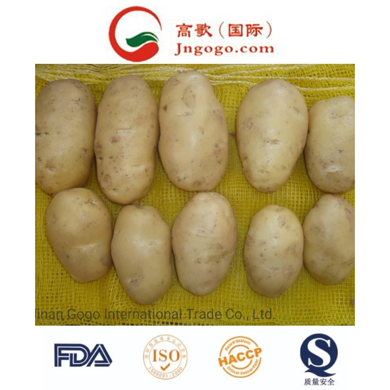 Embalaje de cartón de patata fresca (50-100g 100-150g 150-200G 200G y).