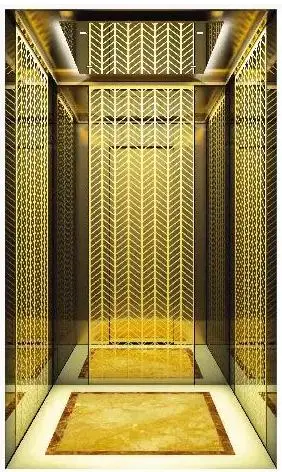 Golden Passenger Home House Villa Panoramic Building Elevator Home Lift