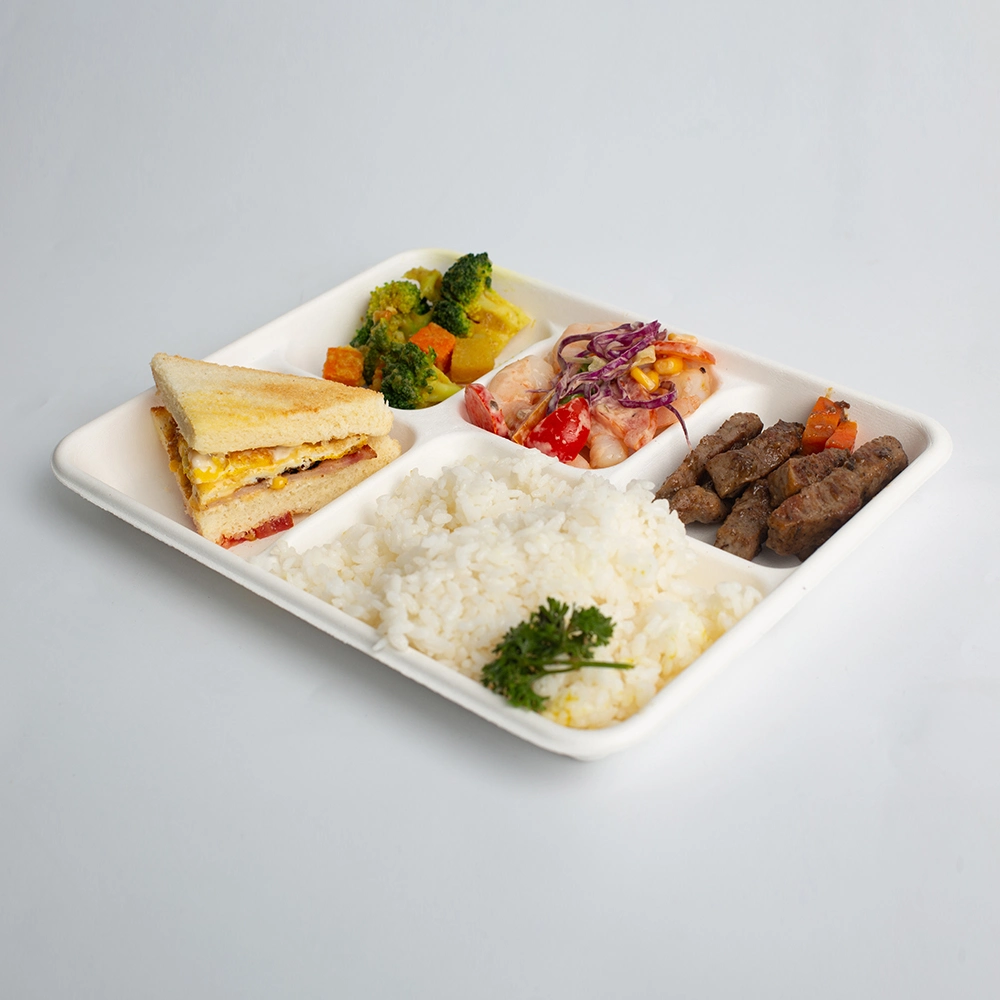 100% Compostable 5 Compartment Plates Disposable Paper Plate Eco-Friendly Disposable Sugarcane 10 Inch Bagasse School Lunch Tray