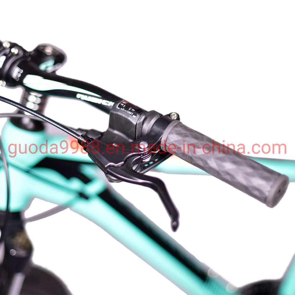 Green Lady Man Bike MTB aleación Mountain Bike OEM