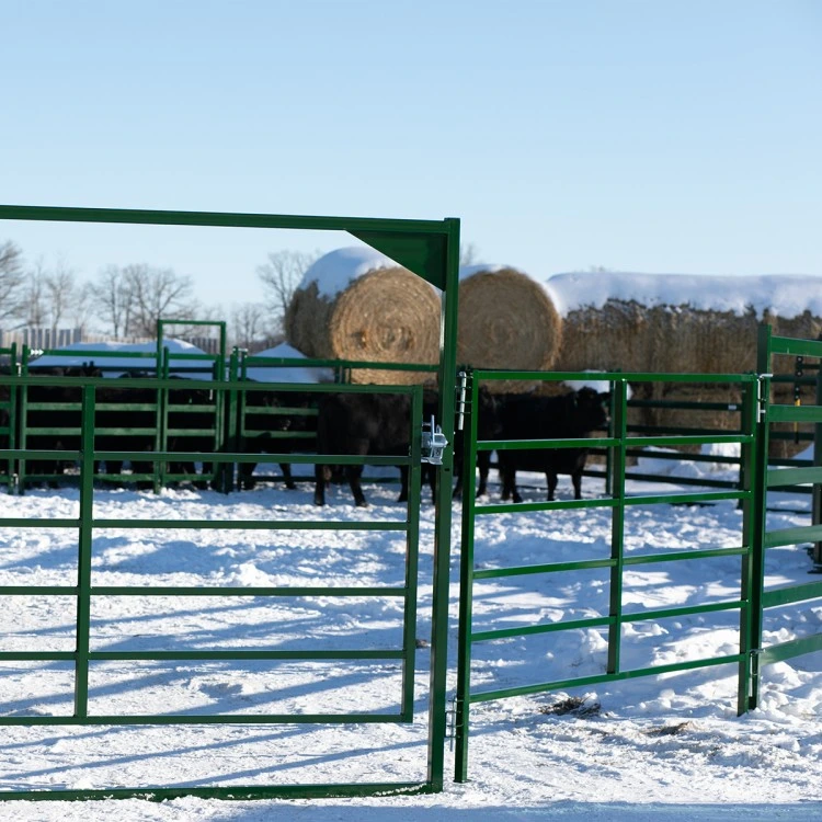 Australia Cattle Farm Equipment Rails Fence Livestock Panels