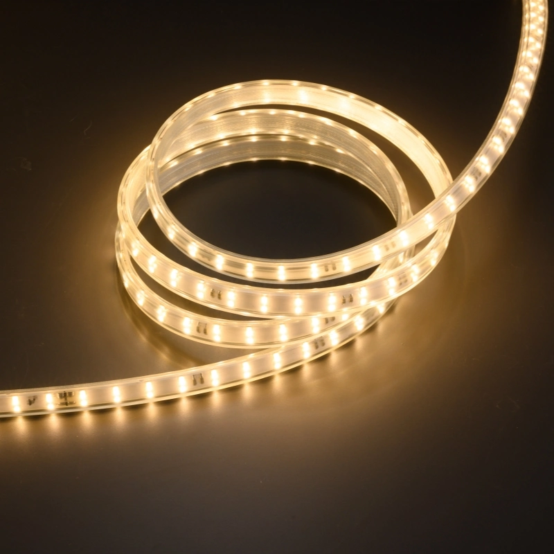 SMD2835 220V LED Strip Light 120d Strip Light