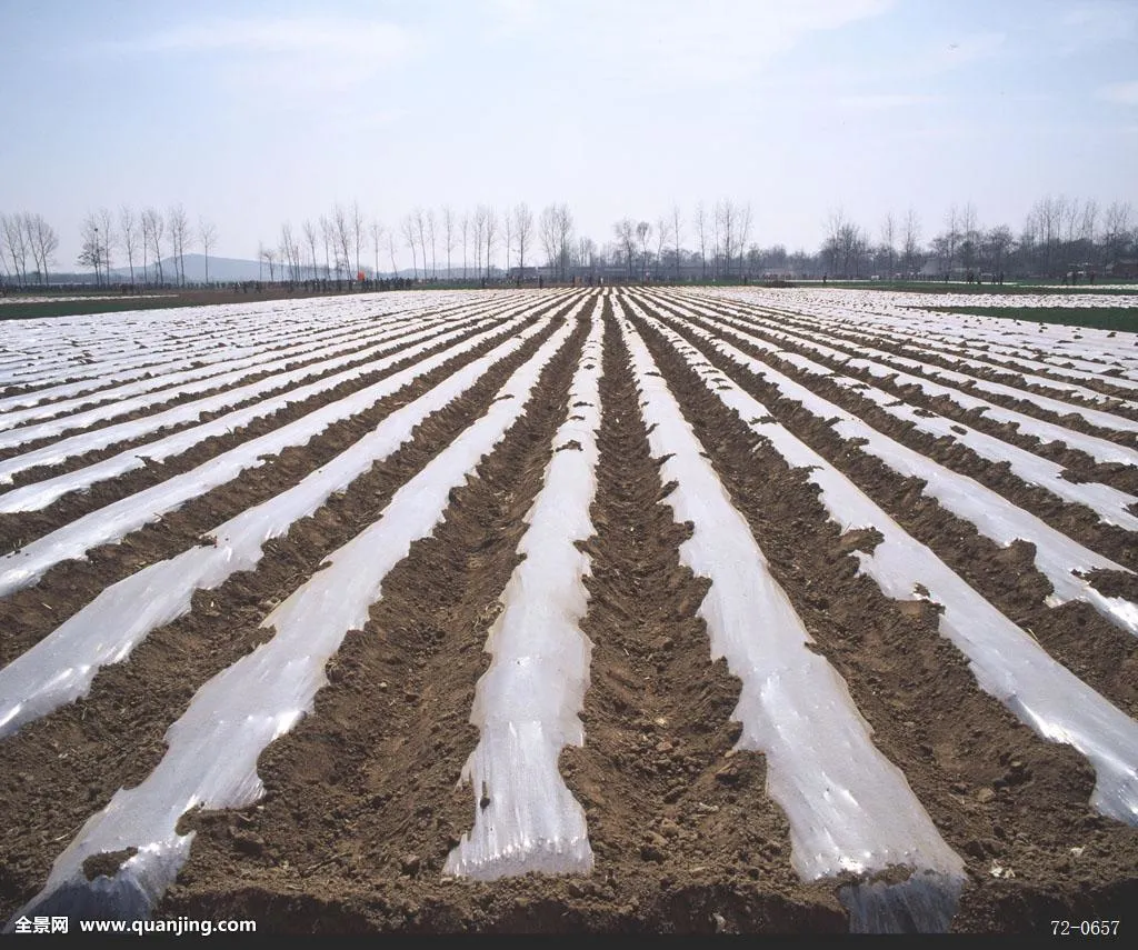 Kunststoff Mulch Film Arten von Verpackungen Taschen für landwirtschaftliche &amp; Gartenarbeit