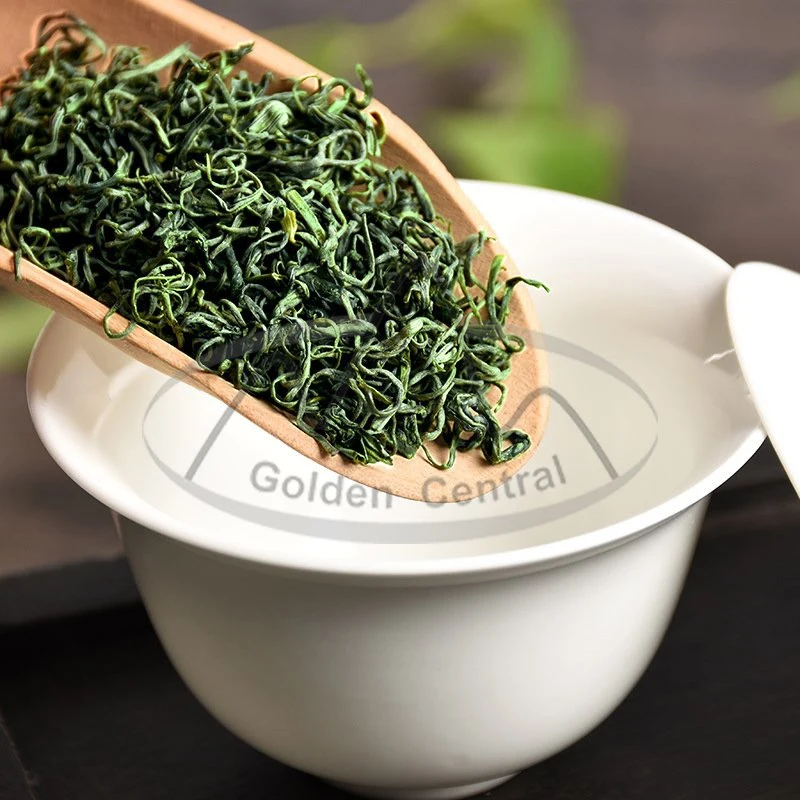 Chinese Green Tea Wholesale/Supplier Free Sample 100% Organic Green Tea