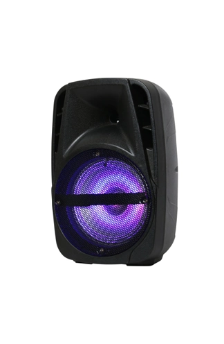 8 Inch PRO Audio Portable Sound Box Amplifier DJ Karaoke Bluetooth Trolley Speaker