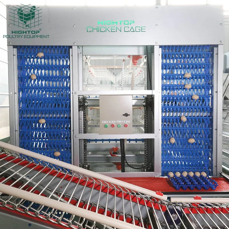 Hightop Galvanized Steel Poultry Farming Equipment Batteries Egg Chicken Cage Prices of Laying Hens