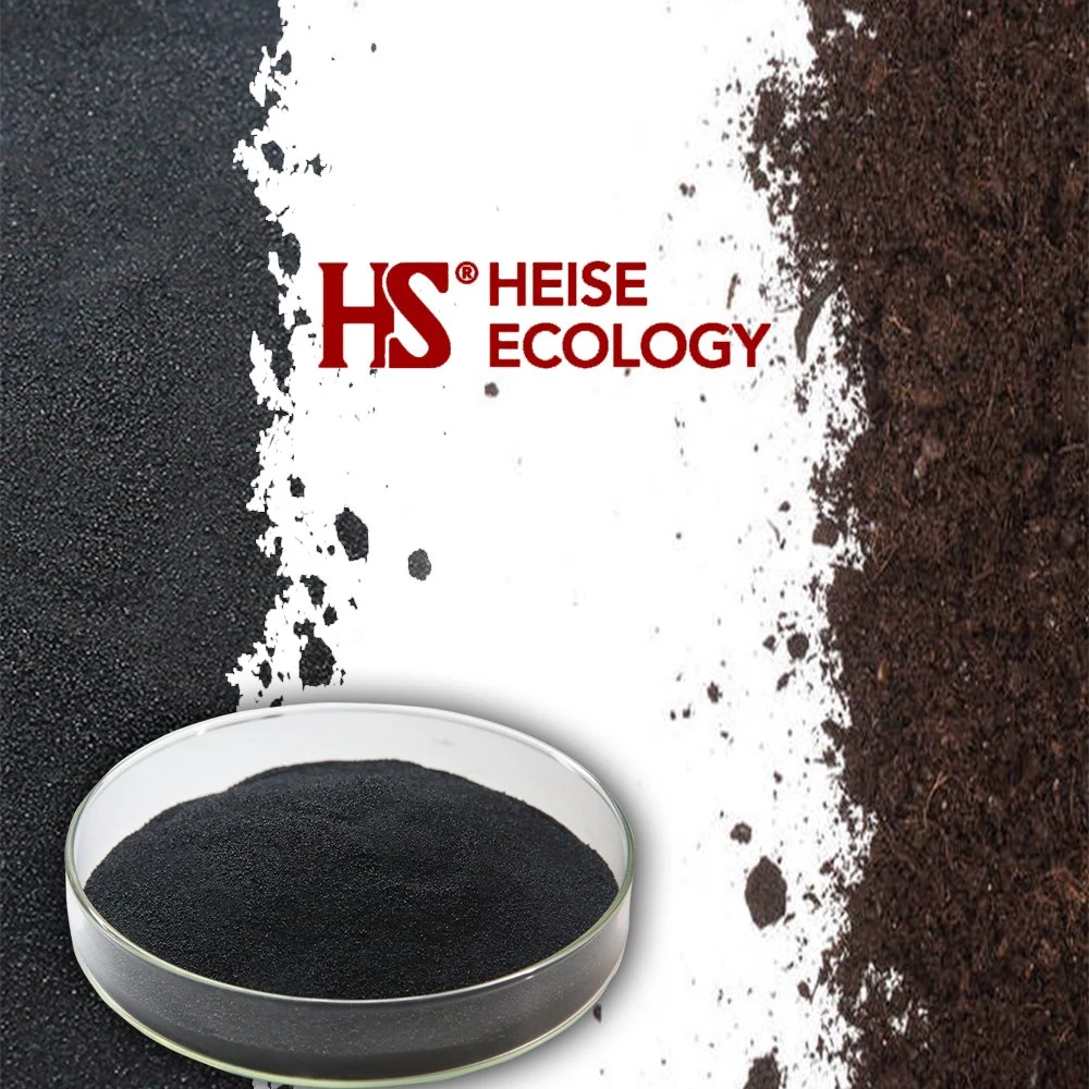Poudre soluble dans l'eau HS-Eco 25 kg Sacs Engrais organique Acide humique