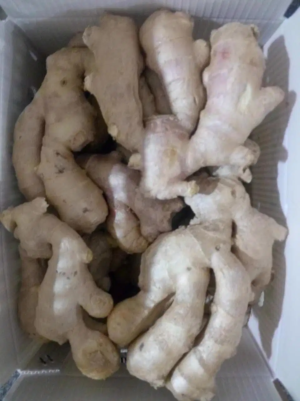 Air Dried Ginger with PVC Carton