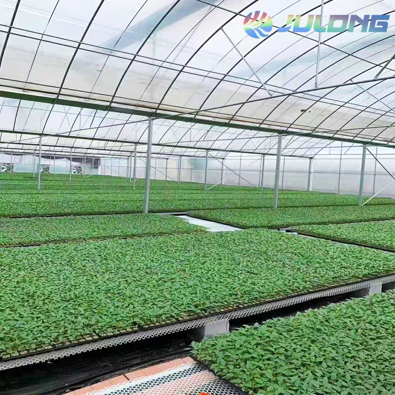 Greenhouse Multi-Span Agricultural Plastic Film Greenhouse Green House for Commercial Used