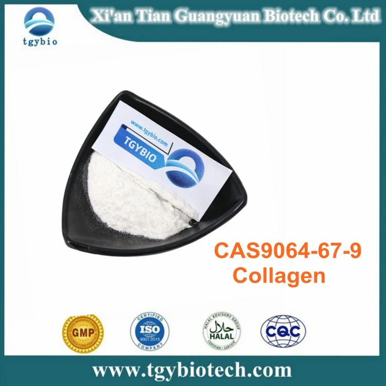 Fornecimento de colagénio em pó de alta qualidade CAS 9064-67-9