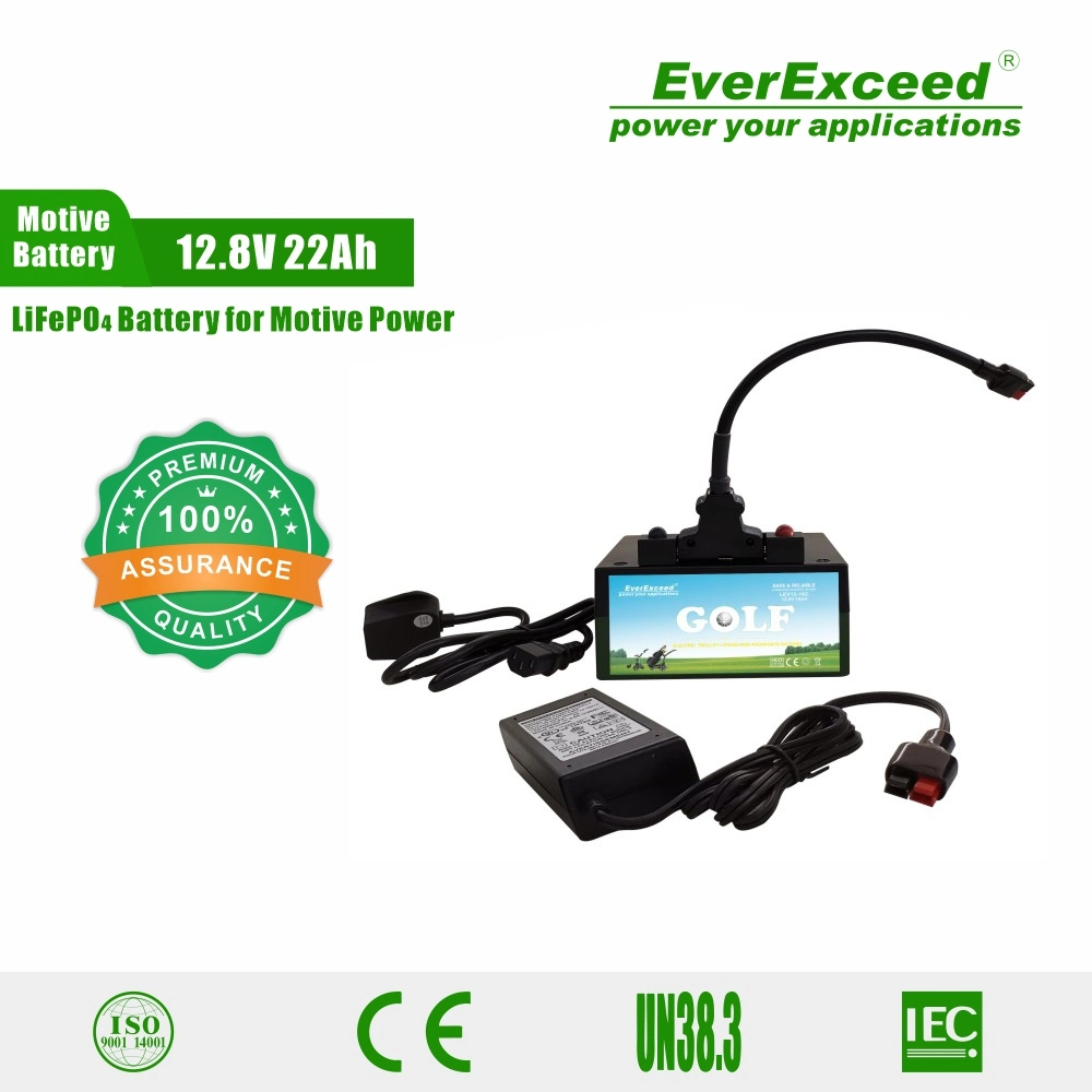 Everexceed Lithium Battery 12V 18ah LiFePO4 Pack for Solar Engergy Storage/RV/Golf Cart/Campers