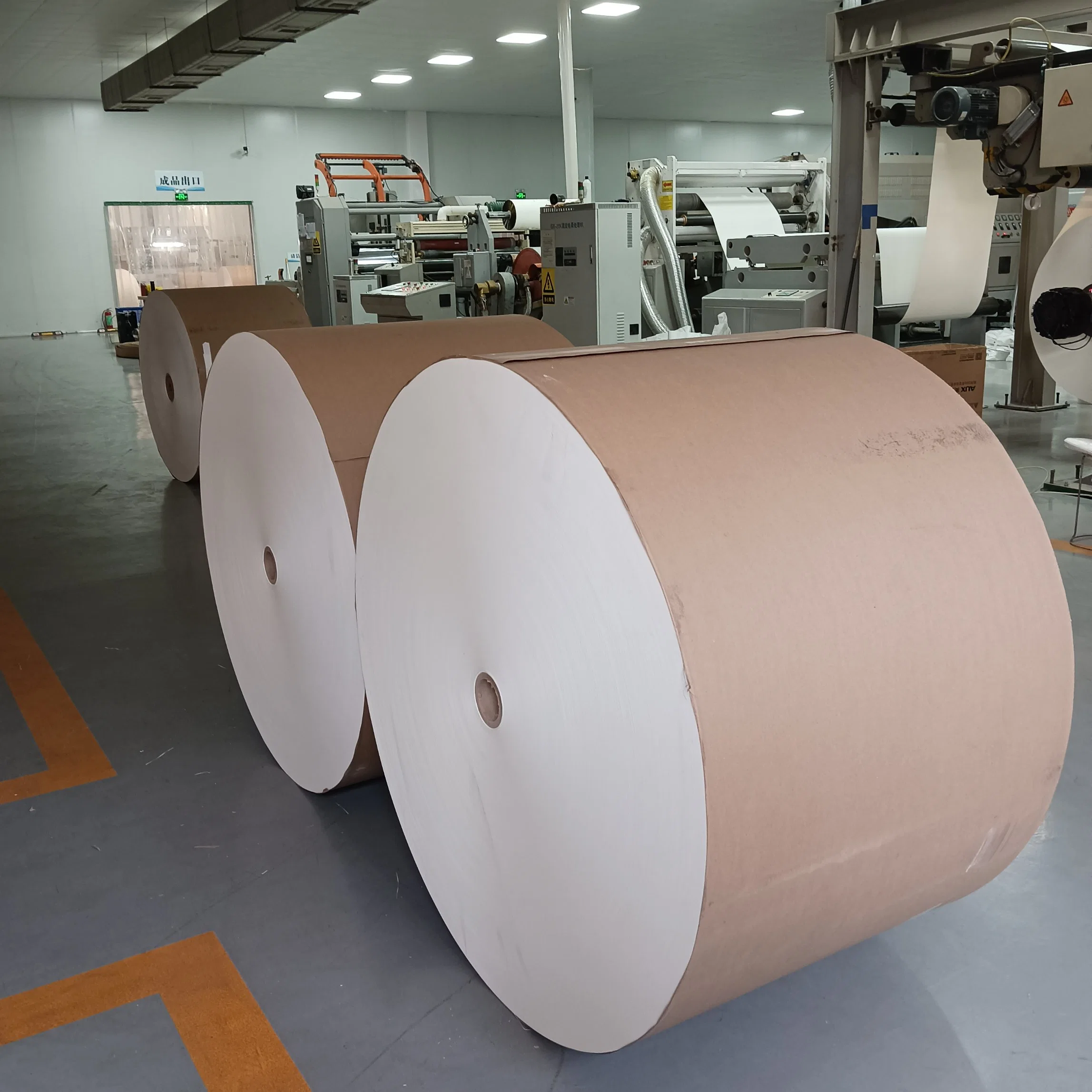 Paper Bowl Raw Material PLA Coated Paper