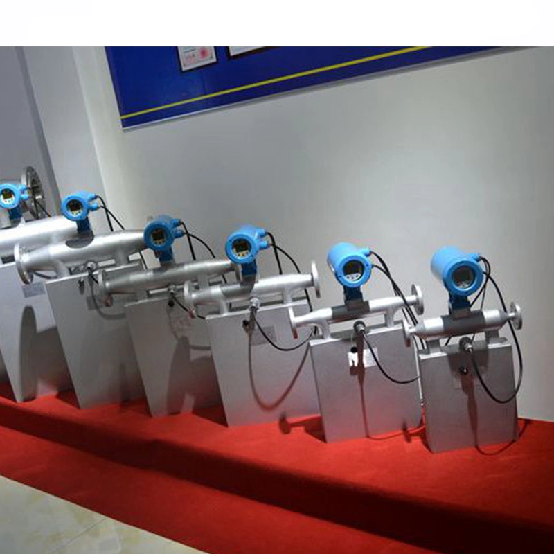 420mA Output 0.2% Digital Liquid Sewage Water Mass Flow Meters