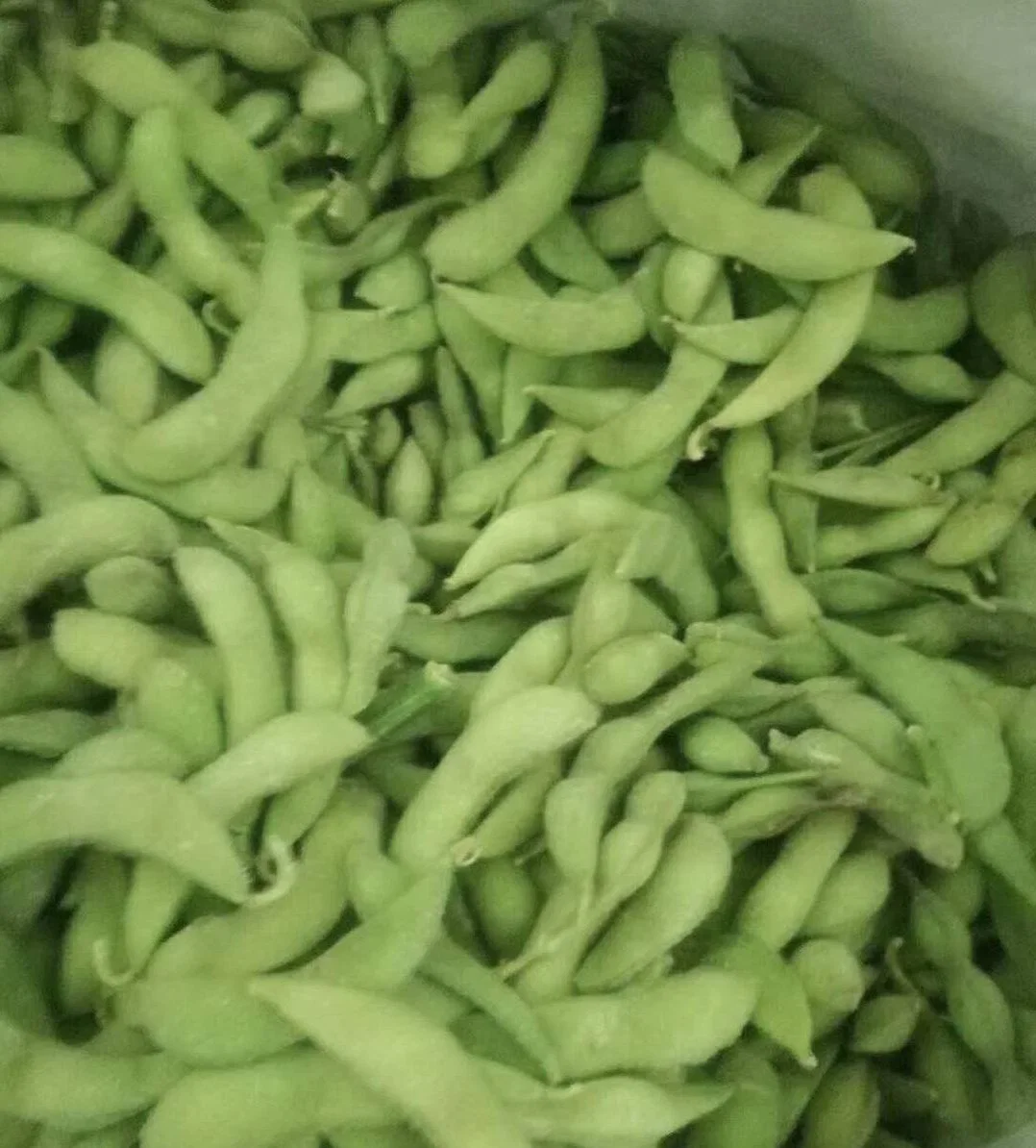 Edamame surgelé de haute qualité, IQF Edamame Pods, a bombardé Edamame de Chine