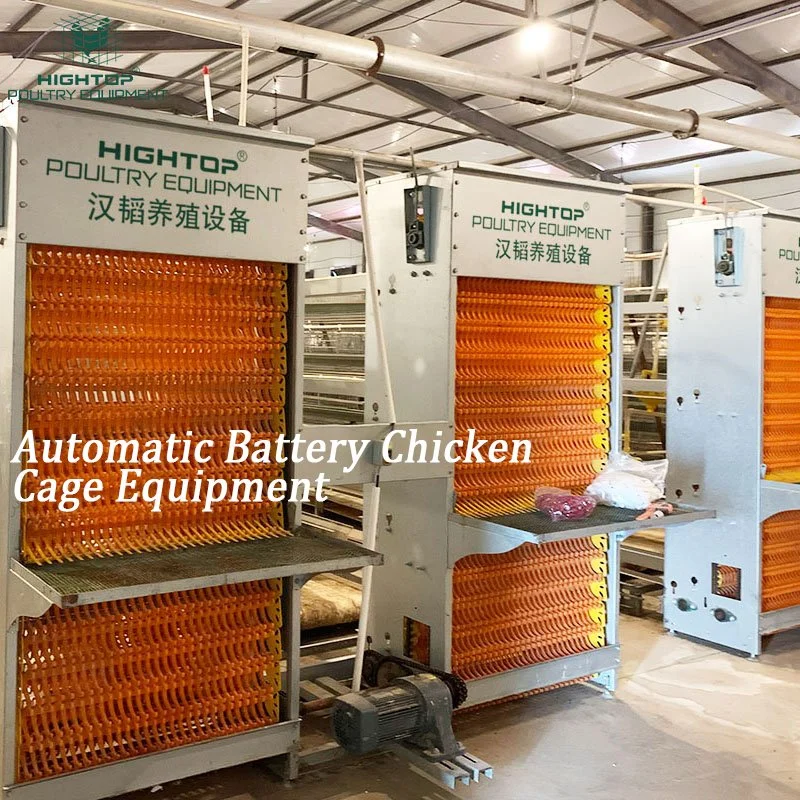 Best Sale A Type Egg Poultry Farm Equipment Poultry Laying  Hens Egg Layer Battery Chicken Cages For Kenya Farm