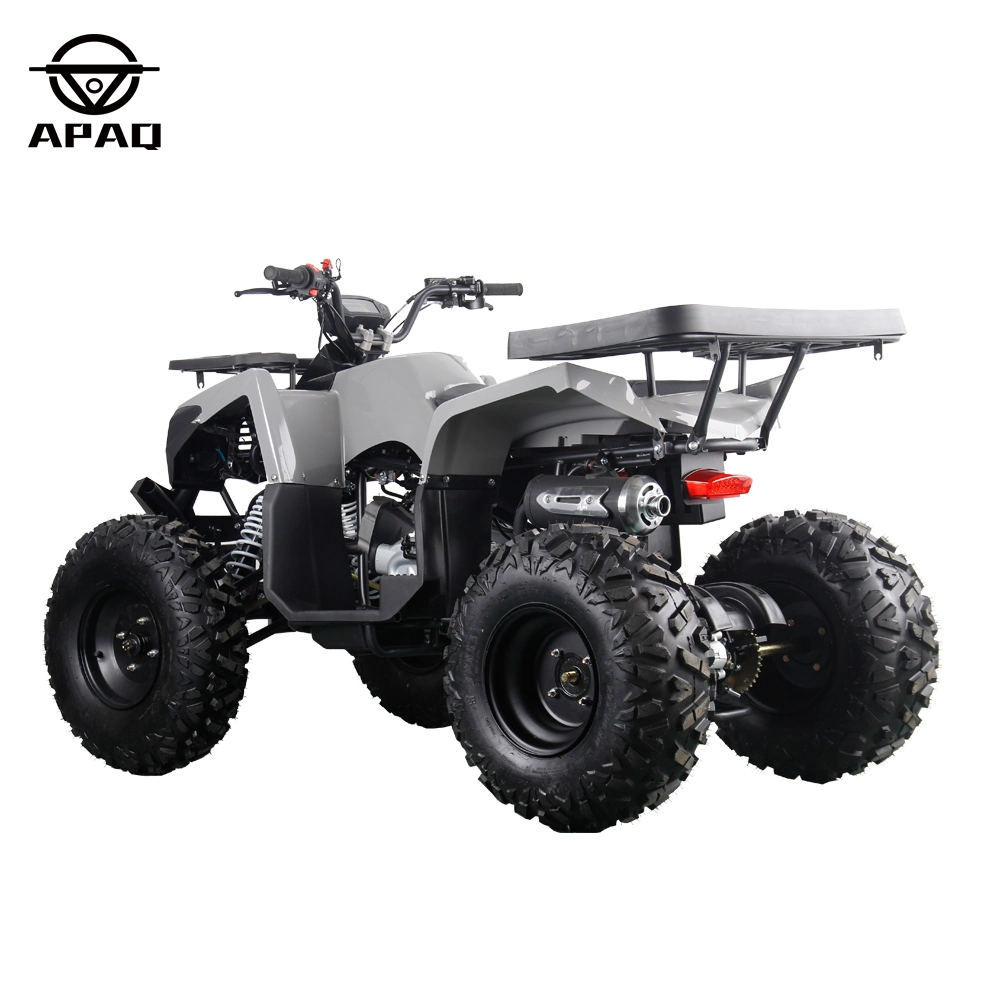 Apq200 2023 New 150cc 200cc 4 Stroke Air-Cooled Gasoline Quad ATV