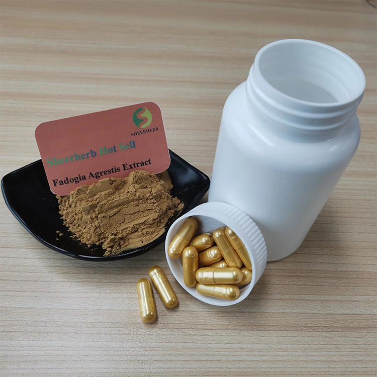 Sheerالأعشاب OEM التسمية الخاصة Fadogia Agrestis وTongkat علي استخراج ملحق Capsule