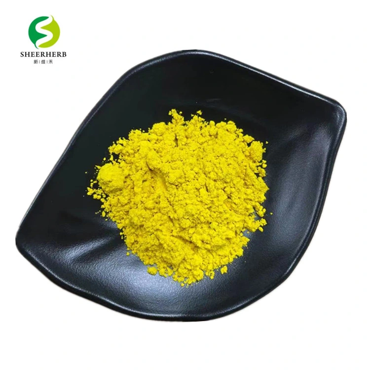 Health Supplements Private Label Berberine Hydrochloride Extract Berberine Powder