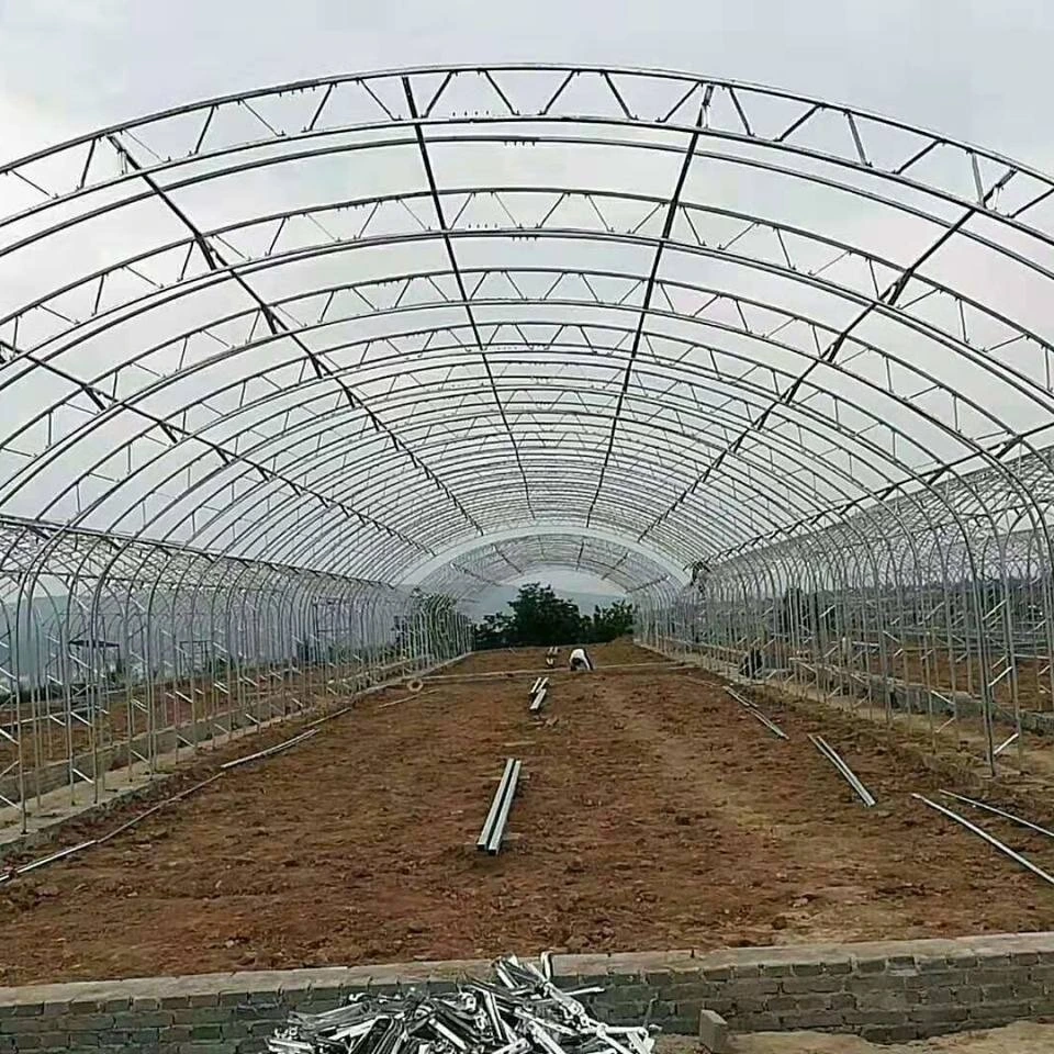 Single Span Greenhouse with Seedbed Hydroponic for Herbal/Mushroom