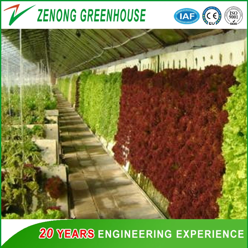 Greenhouse a-Frame Hydroponic System with Substrate for Vertical Farming for Strawberry/Leafy Vegetables