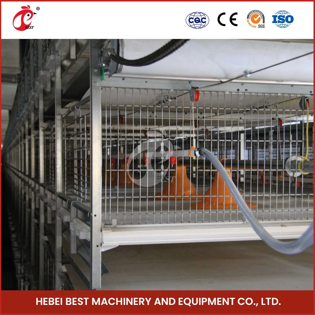 Bestchickencage China Wholesale/Supplier Hen Coop Manufacturer H Frame Automatic Boriler Cages ODM Custom Good Ventilate DIY Cage for Chicken