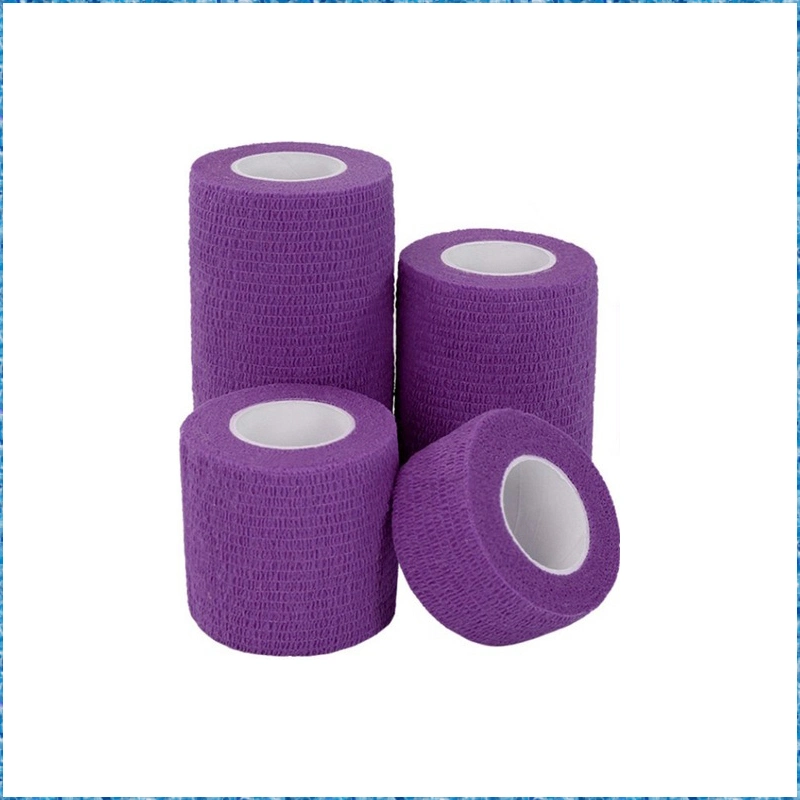 Free Samples CE FDA Pet Horse Veterinary Printed Cohesive Elastic Bandage