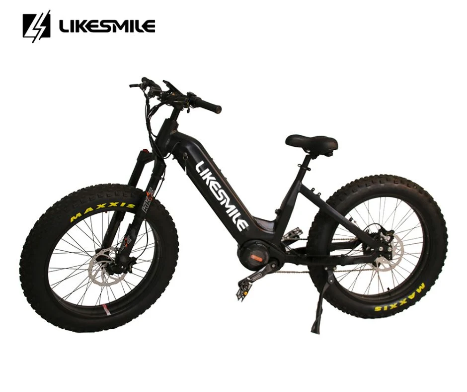 Elektro Mountainbike-Bike All-Terrain Bike 1000W Motor 48V 30Ah Batterie Für die Jagd