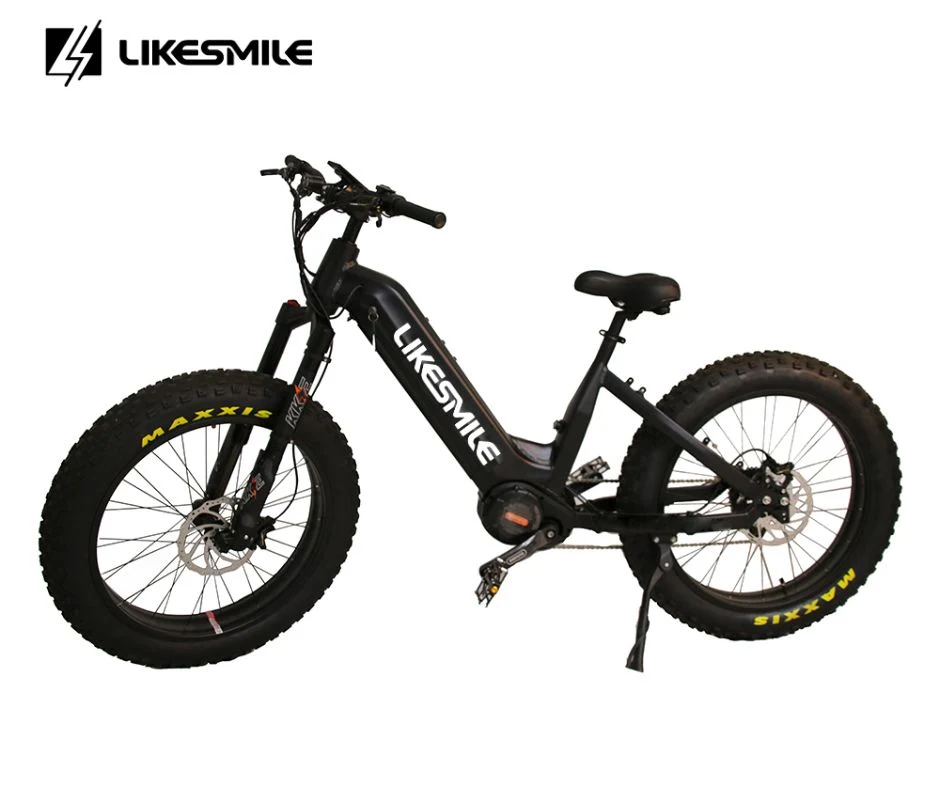 Electric Mountain Bike-Bike All-Terrain Bike 1000W Motor 48V 30ah Battery for Hunting