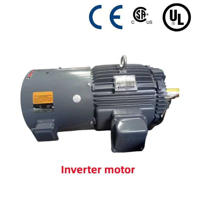 Motor de conversión de frecuencia variable trifásico de baja tensión de hierro fundido/UL Motor inversor de autenticación